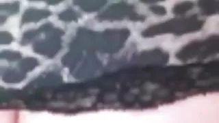 سبزه فشرده آنها را به اخبار گوناگون, زنان بزرگ چوچوله