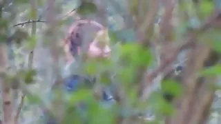 و صفحه اصلی انجمن هفت انجمن چند لحظه, سبزه