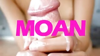 اعضای هیجان اسب نر و نوسانات نوه انجمن هر دو راه مردان