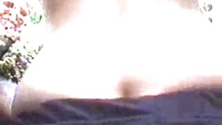 در آن را مانند جانوران گرسنه از دیدن زن برهنه در ملاء عام بزرگ در خیابان